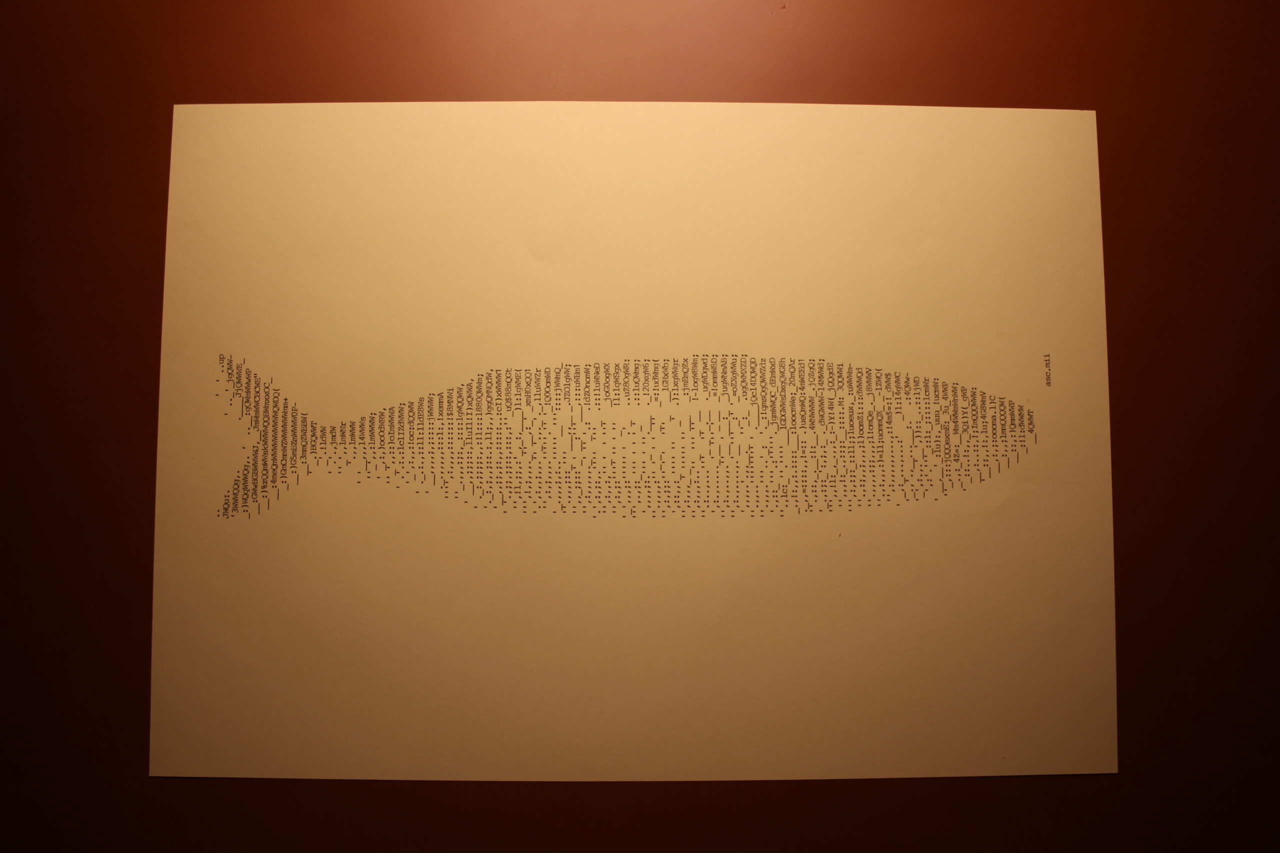 ASCII Art Schreibmaschinenkunst Porträt Tiere Fisch A3